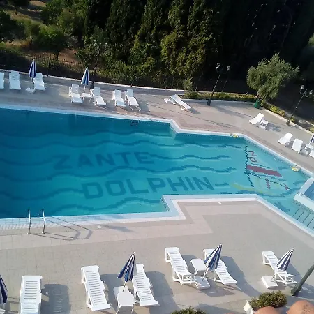 ζante Dolphin